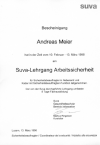 SUVA.GIF (194517 Byte)