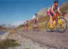 bmc.jpg (9434 Byte)